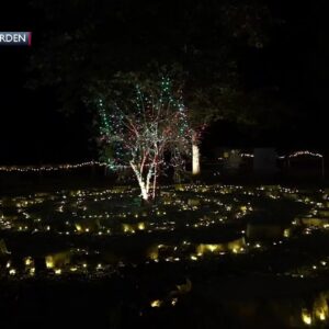 SLO Botanical Garden hosts Nature Nights light art exhibit