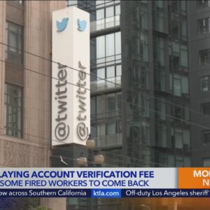 Twitter is delaying the account verification fee