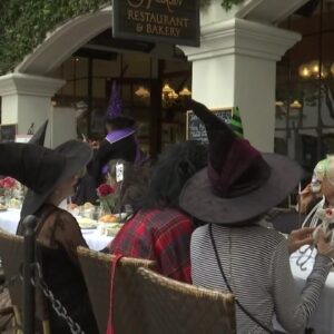 Witches luncheon