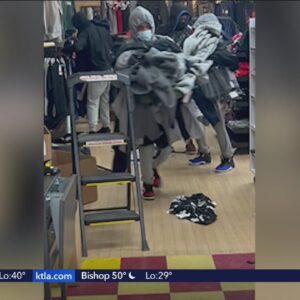 18 arrested in L.A. County retail theft spree