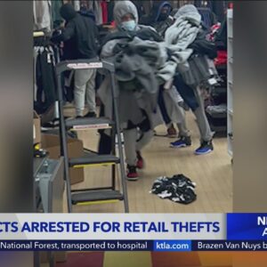 18 suspects arrested for retails thefts
