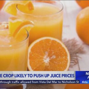 Bad orange juice crop likely to push up prices