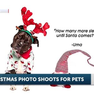 CHRISTMAS PHOTO SHOOT FOR PETS | 4PM SHOW