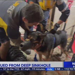 Crews rescue dog trapped in deep sinkhole behind Willowbrook home