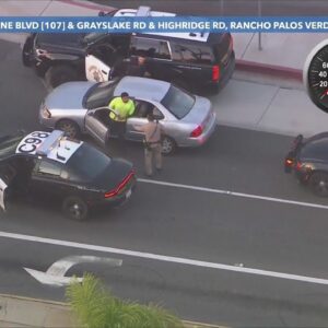 Driver in L.A. pursuit in custody after scuffle with officers