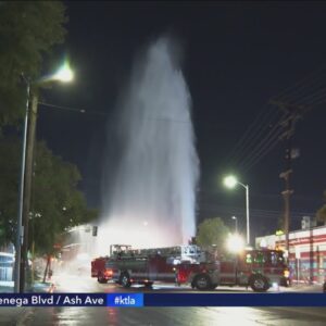 Driver sought after shearing hydrant in Sun Valley