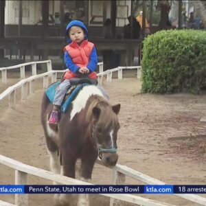 Griffith Park pony rides closing