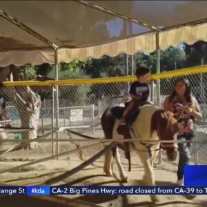 Griffith Park pony rides come to an end