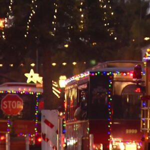 Holiday Trolley driver marks 20 years behind the wheel