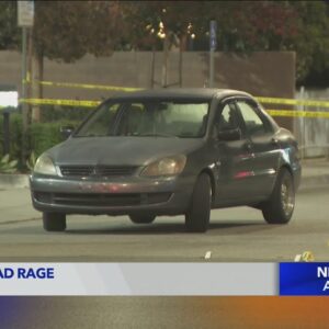 Man fatally struck by car in Maywood road-rage attack