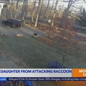 Mom saves daughter from raccoon