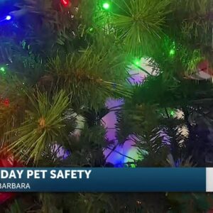 PET SAFETY | 5PM SHOW