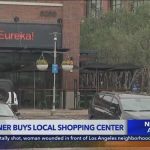 Rams owner buys local shopping center