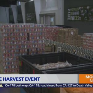 Share the Harvest event collects food for those in need