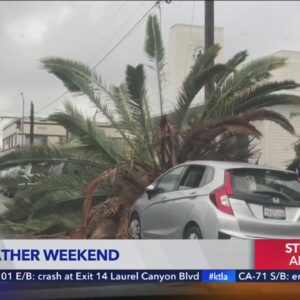 Southland experiences a wild weather weekend