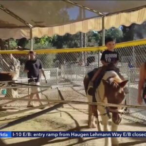 Special meeting to be held Thursday on Griffith Park pony closure
