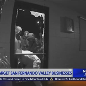 Thieves target businesses in San Fernando Valley