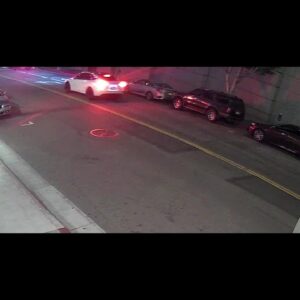 Video released from downtown Los Angeles hit and run