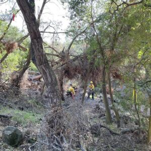 Wildfire reduction continues in Stevens Park