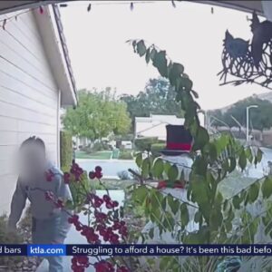 Young boy caught on camera stealing packages from Los Angeles homes