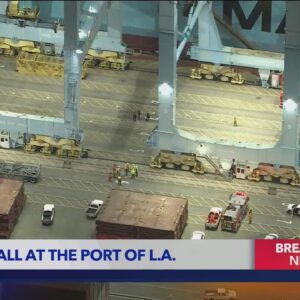 1 dead after a fall at the Port of Los Angeles
