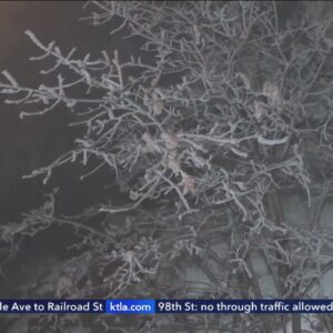 Officials warn of dangerous driving conditions as snow falls along Grapevine