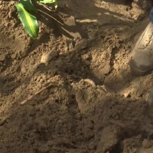 Bucket Brigade helps clear mud impacts
