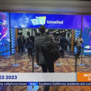 CES Unveiled: Talking pet gadget, 3D Printed Vitamins and more
