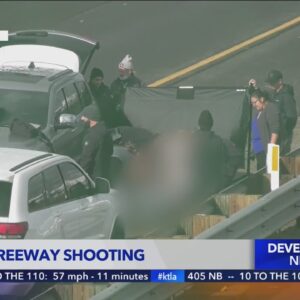 Deadly freeway shooting