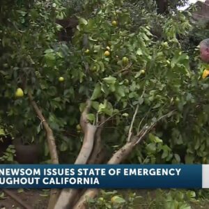 Governor Newsom declares state of emergency as storm system approaches