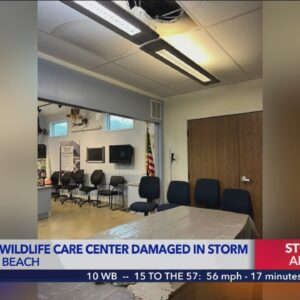 Orange County wildlife center looks toward recovery after storm damage