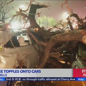 Storm topples trees, floods homes in the Southland