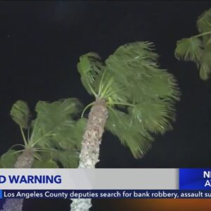 Strong, potentially damaging Santa Ana winds prompt high wind warnings