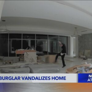 Teen burglar vandalizes Beverly Hills home