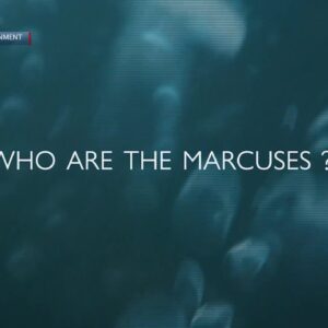 Documentary Filmmaker of "Who are the Marcuses" chats with News Channel 3-12 Morning team ...