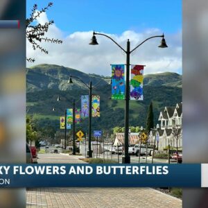 Buellton Arts and Culture Committee debuts February art banners