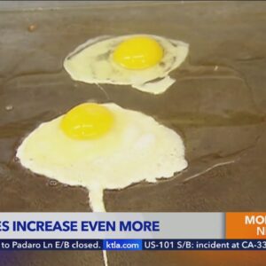 Egg prices increase even more
