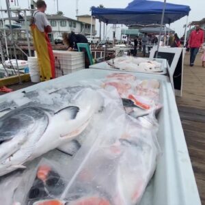 Fishing industry hooked up again after recent storm impacts