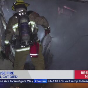 Man, woman, cat dead after Mar Vista house fire