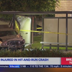 Police continue to search for hit and run driver that injured 5