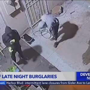 Security video captures burglars in Long Beach