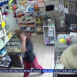 Video shows woman assaulted during dog robbery in Bell Gardens