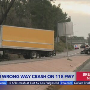 2 killed in wrong-way crash