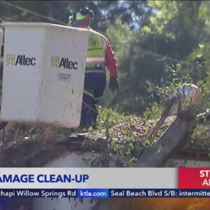 Crews continue cleanup from severe storm damage