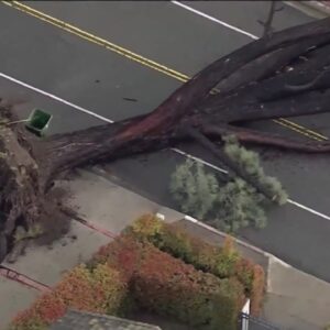 Crews work to cleanup winter storm damage across SoCal