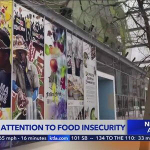Downtown L.A. mural draws attention to food insecurity