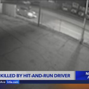 Fatal San Pedro hit-and-run caught on video