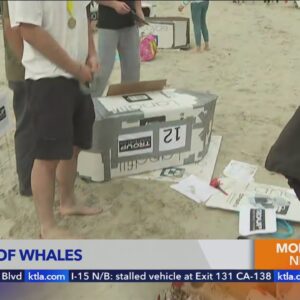 Festival of Whales returns to Dana Point Harbor