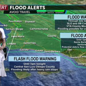Flood Alerts and Wind Alerts in effect due to heavy rainfall