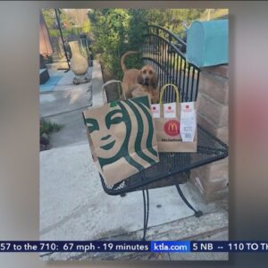 Highland Park residents getting mystery Uber Eats deliveries